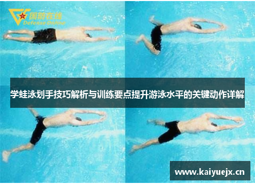 学蛙泳划手技巧解析与训练要点提升游泳水平的关键动作详解