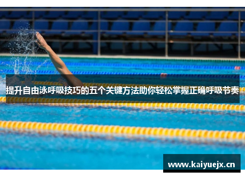 提升自由泳呼吸技巧的五个关键方法助你轻松掌握正确呼吸节奏