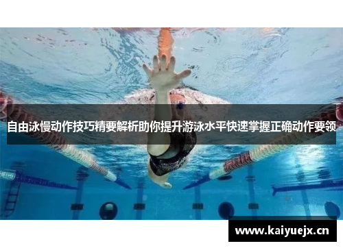 自由泳慢动作技巧精要解析助你提升游泳水平快速掌握正确动作要领