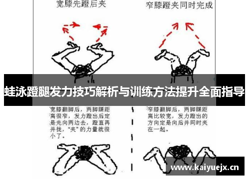 蛙泳蹬腿发力技巧解析与训练方法提升全面指导